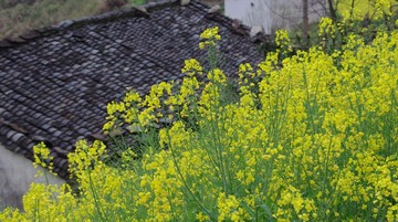 IMGP1865.JPG