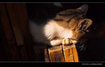 nEO_IMG_PA260853.jpg