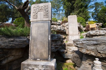 DSC_3134.jpg
