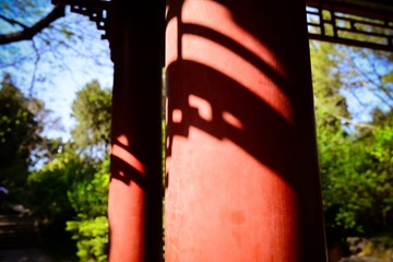 DSC_4317.jpg