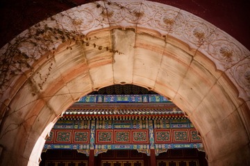 nikon (447).jpg