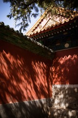 nikon (440).jpg