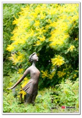 nikon (75).jpg