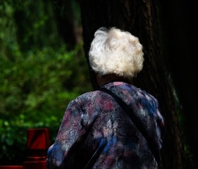 fuji (10).jpg