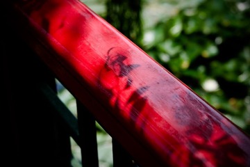 fuji (16).jpg