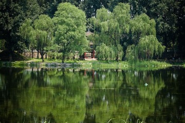 fuji (17).jpg