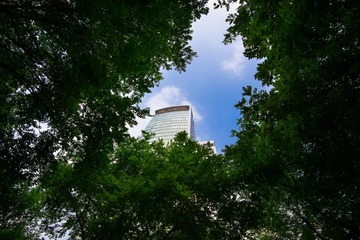 DSC_6822.jpg