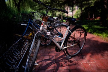 DSC00354.jpg