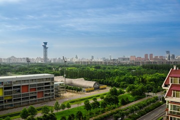 DSC00284.jpg