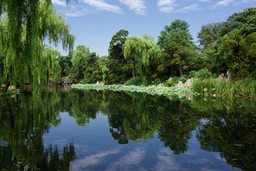 DSC00822.jpg