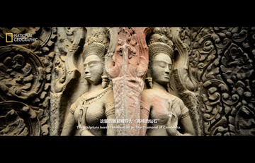DSC_1466 - 