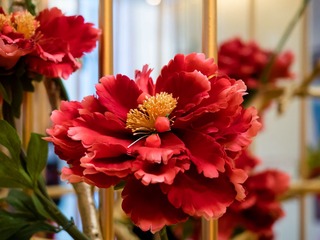P1050134