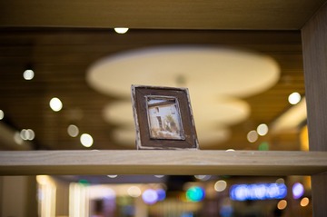 _DSC3973