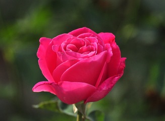 913553
