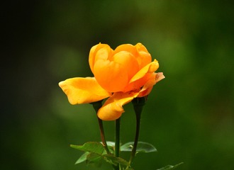 913438