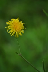 988754