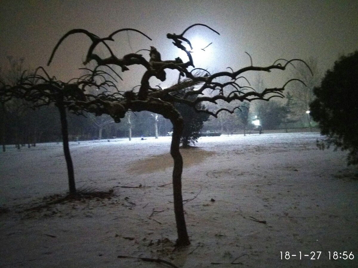 留仙湖雪