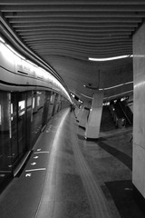 IMGP7952.jpg