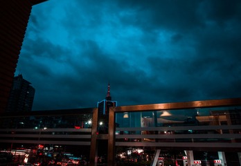 DSC01529.jpg