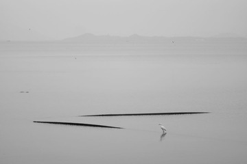 _DSC6510-2.jpg