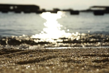 _DSC9048-1.jpg