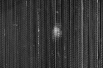 _DSC7584