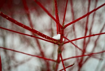 DSC_8849.jpg