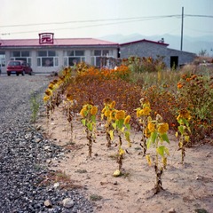 Scan-131016-0004-3