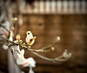 B4908E85-21A7-4C45-A9FF-2F825F009F7F/L0/001