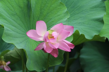 F074ED7D-277F-499A-AABA-CF1187BBB38E/L0/001