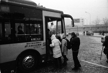 516507.jpg