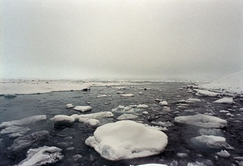 517426.jpg