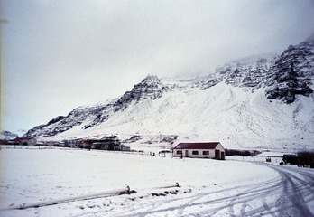 517443.jpg