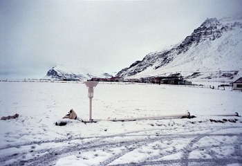 517448.jpg
