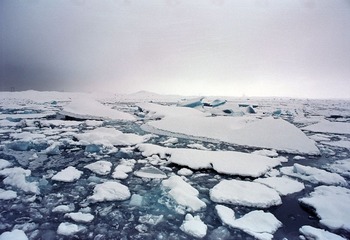 517473.jpg