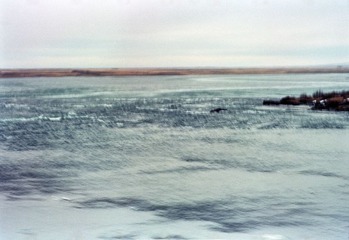 517329.jpg