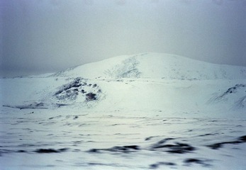517336.jpg