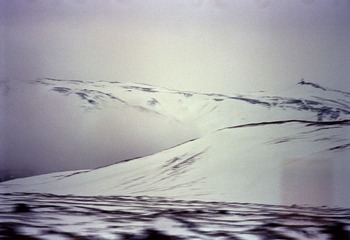 517341.jpg