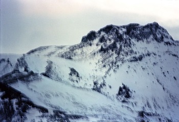 517350.jpg