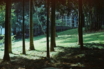 0683_006.JPG