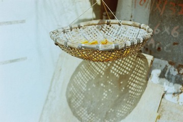 0790_036.JPG