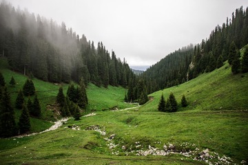 DSC_2289.jpg