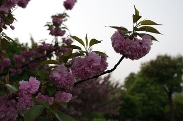 IMGP4859.JPG