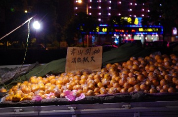 IMGP4981.jpg
