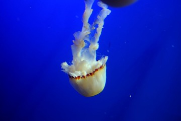 DSCF0482.JPG