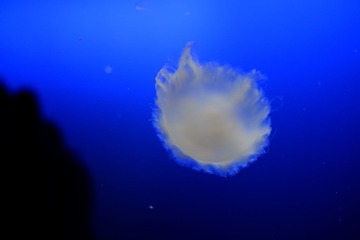 DSCF0483.JPG