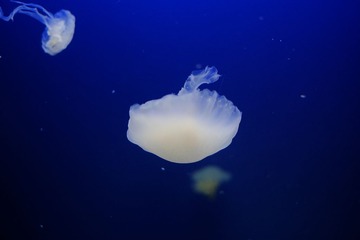 DSCF0484.JPG