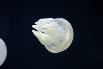 DSCF0472.JPG