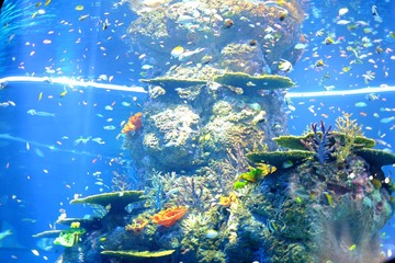 DSCF0452.JPG