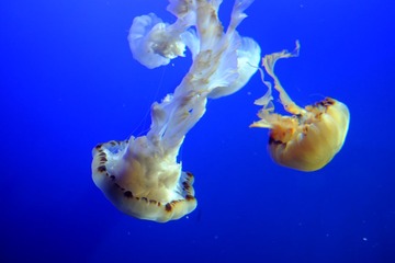 DSCF0481.JPG